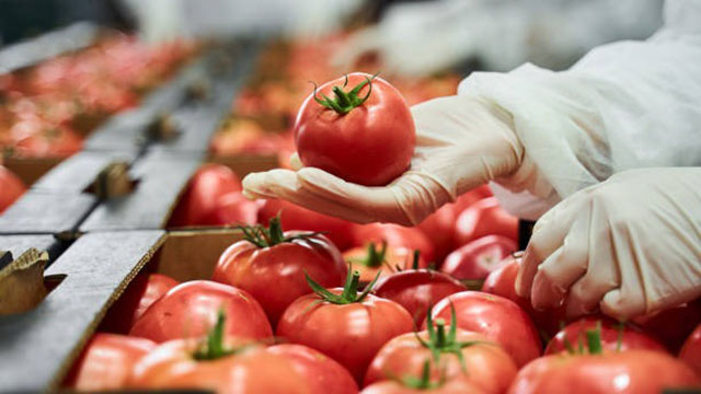 Pakistan, China Sign Industrial Tomato MoU