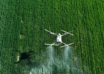Drones Protect Wheat Harvest in China