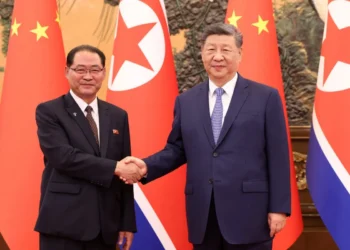 Xi Urges Stronger China-North Korea Ties