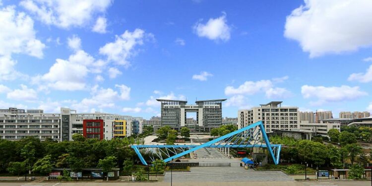 China Offers SEO Training to Pakistanis