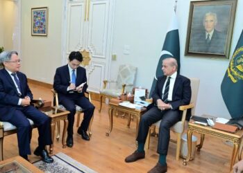 PM, Chinese Envoy Reaffirm Iron Ties