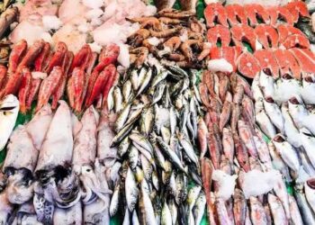 China, Australia Ink $50 Million Seafood Park Deal for Gwadar Free Zone