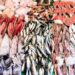China, Australia Ink $50 Million Seafood Park Deal for Gwadar Free Zone