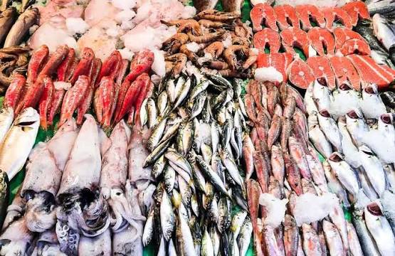 China, Australia Ink $50 Million Seafood Park Deal for Gwadar Free Zone