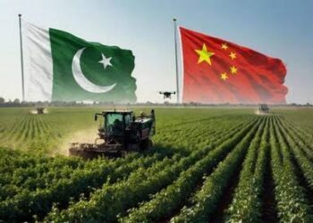 Pakistan-China MoU to Boost Agricultural Standards, Food Safety