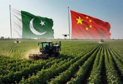 Pakistan-China MoU to Boost Agricultural Standards, Food Safety