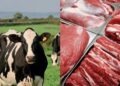 Pak-China Boost Livestock Trade Cooperation