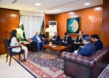 Chinese Envoy Reaffirms Pakistan-China Ties