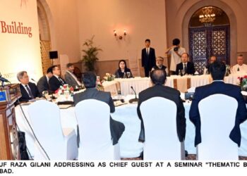 Gilani Reaffirms Strong Pakistan-China Ties