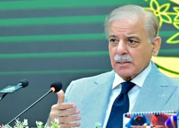 PM Welcomes Gaza Peace Progress