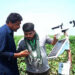 Researcher Backs China-Pak Farm Tech