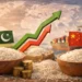 Pakistan $1.5B Hybrid Rice Market in China