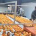 Pakistan Targets China Retail Market for Kinnow