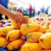 Pakistani Mangoes Reach Xinjiang by Land