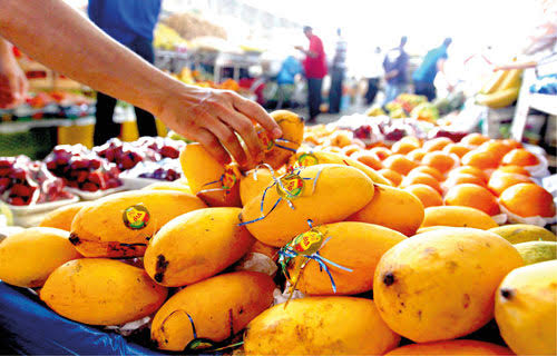 Pakistani Mangoes Reach Xinjiang by Land