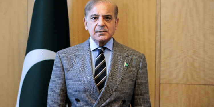 PM Shehbaz Condoles China Floods, Landslides