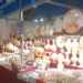 Pakistani Exhibitor Returns to Xizang for 8th Time