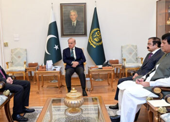 PM Shehbaz Pledges Support for KP Development