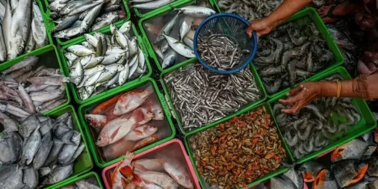 Pakistan Seafood Exports Cross $500m for First Time
