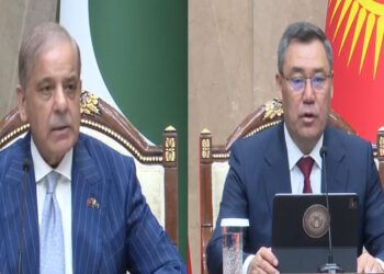 Pakistan, Kyrgyzstan Boost Economic Partnership