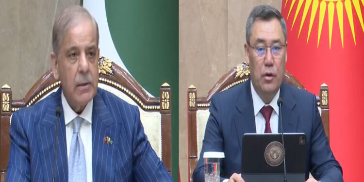 Pakistan, Kyrgyzstan Boost Economic Partnership