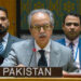 Pakistan Condemns Houthi Attacks on Saudi Arabia