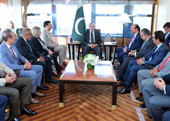 PM Invites US-Based Pakistanis to Invest in Pakistan