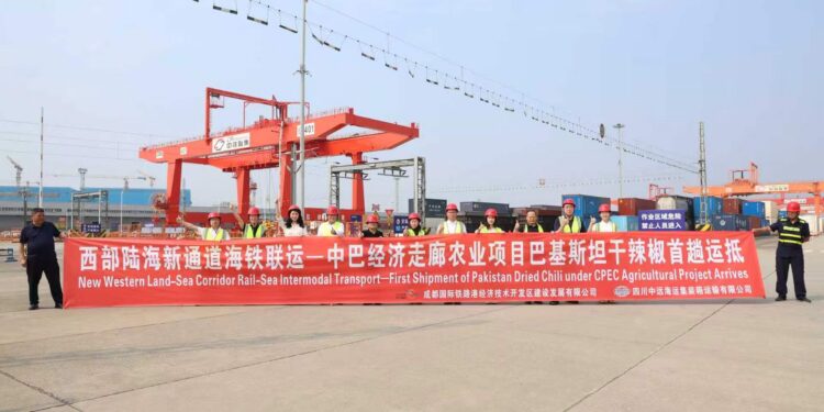 Chengdu Opens New Route for Pakistan Farm Exports