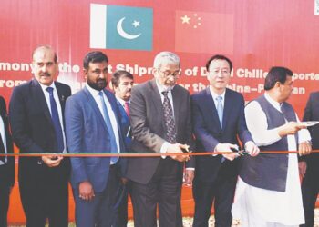 Pakistan Chilies Open New Trade Route to China