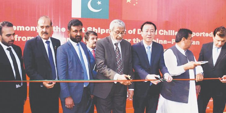 Pakistan Chilies Open New Trade Route to China