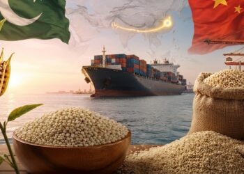 Pakistan Targets Higher-Value Sesame Exports
