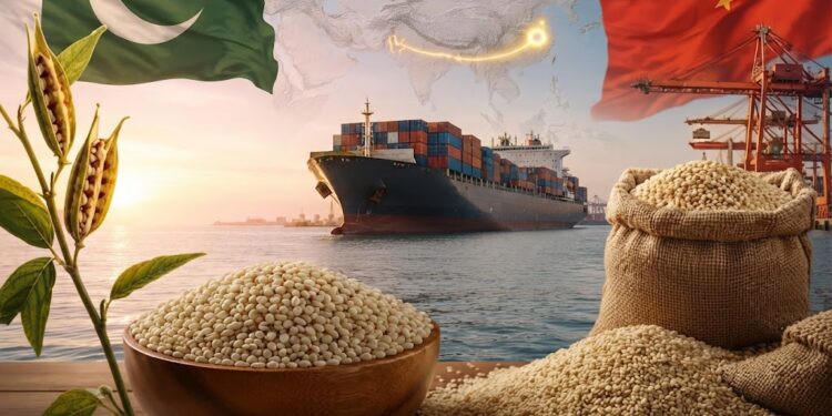 Pakistan Targets Higher-Value Sesame Exports