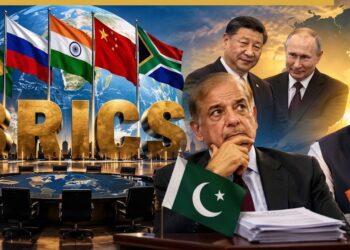 BRICS, China and Pakistan: A New Diplomatic Opportunity