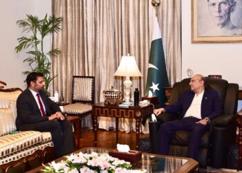 Zardari Seeks Deeper Pakistan-China Economic Ties