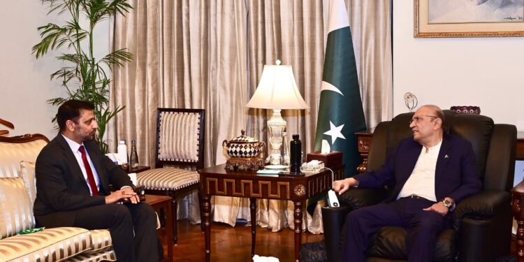 Zardari Seeks Deeper Pakistan-China Economic Ties