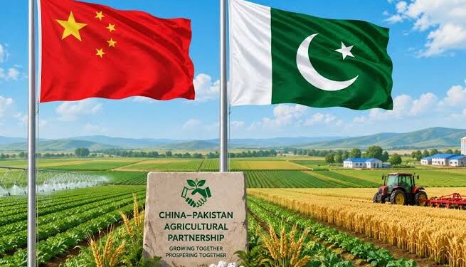 Can Pakistan Become China’s Next Major Food-Security Partner?