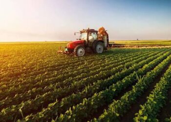 Can Joint Research With China Make Pakistani Agriculture More Resilient?