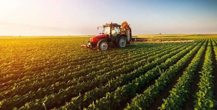 Can Joint Research With China Make Pakistani Agriculture More Resilient?