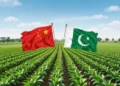 Pakistan-China Cooperation and the Green Supply Chain
