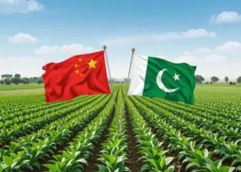 Pakistan-China Cooperation and the Green Supply Chain