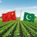 Pakistan-China Cooperation and the Green Supply Chain