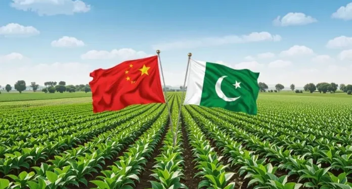 Pakistan-China Cooperation and the Green Supply Chain