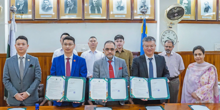 Punjab University, Chinese Partners Sign New Energy MoU