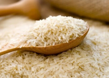 Pakistan to Boost Rice Exports to Malaysia