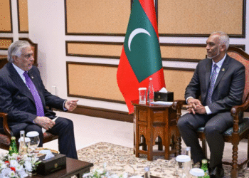 Ishaq Dar Meets Maldives President Muizzu in Pakistan