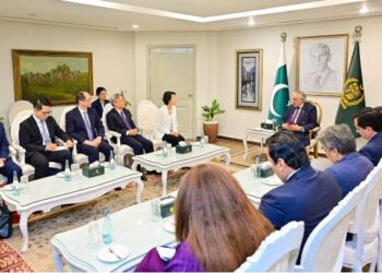 Mao Ning Meets Ishaq Dar in Islamabad