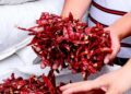 Pakistan’s Chengdu Chilli Route Shows What CPEC 2.0 Must Deliver