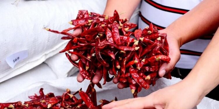 Pakistan’s Chengdu Chilli Route Shows What CPEC 2.0 Must Deliver