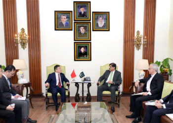 Sindh and China to Form Investment Working Groups