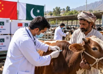 China Boosts Pakistan Livestock Disease Control